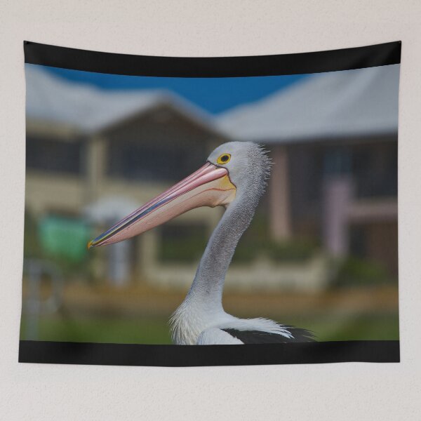 Item preview, A Profile Shot Of A Beautiful Pelican designed and sold by Jason Gilbert.