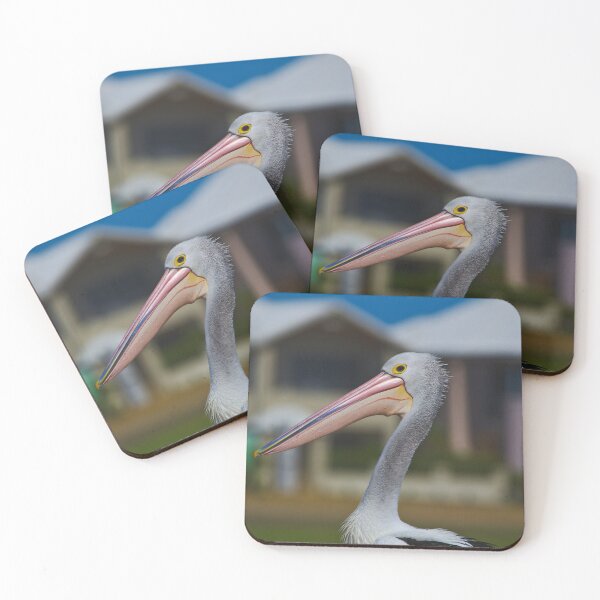 Item preview, A Profile Shot Of A Beautiful Pelican designed and sold by Jason Gilbert.