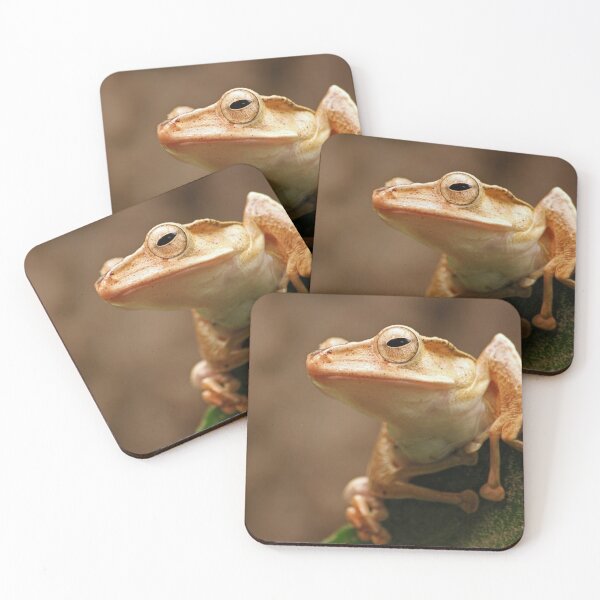 Item preview, Borneo eared frog designed and sold by rootedrender.