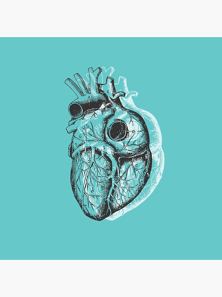 Anatomical Heart • Turquoise • Pastel Goth by rike-mayer