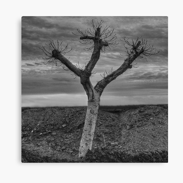 The peace and quiet Canvas Print