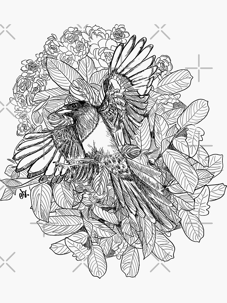 Magpies birds in my garden by ebozzastudio