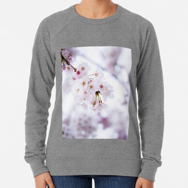Sakura douceur poudrée Sweatshirt léger