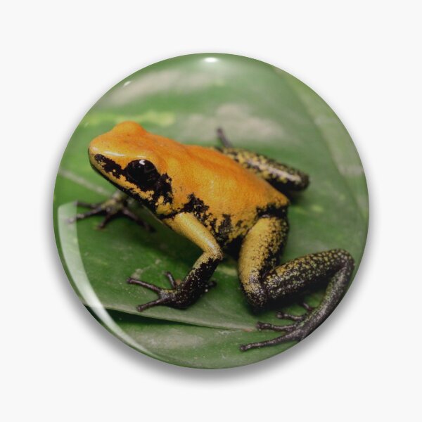 Item preview, Black-legged poison dart frog designed and sold by rootedrender.