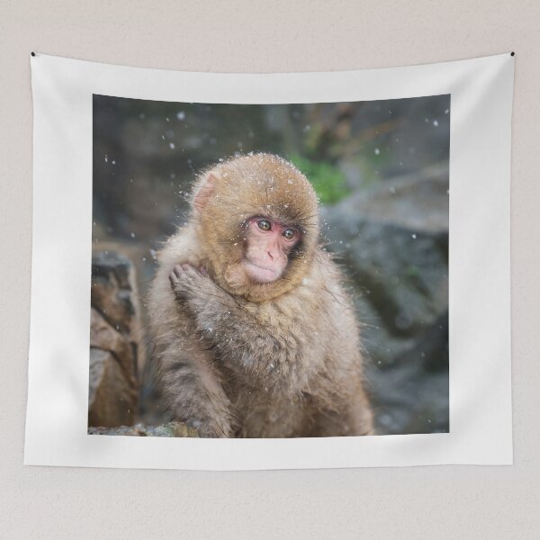 Item preview, Japanese Snow Monkey II designed and sold by PhotoArt by Joan Carroll.