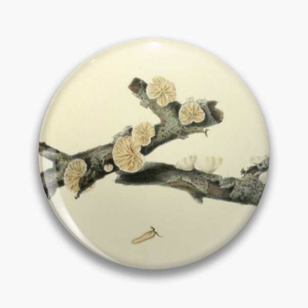 Item preview, Agaricus Mushrooms designed and sold by BlueSpecsStudio.