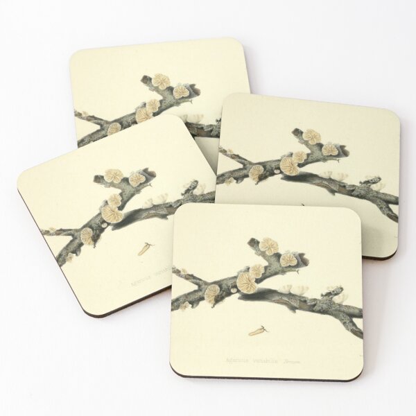 Item preview, Agaricus Mushrooms designed and sold by BlueSpecsStudio.