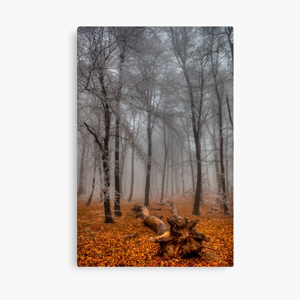 The End of Autumn Canvas Print