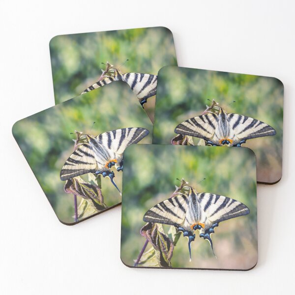 Item preview, Beautiful Iphiclides podalirius butterfly insect open wings designed and sold by Grégory DUBUS.