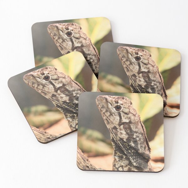 Item preview, Lagarto con volantes designed and sold by rootedrender.