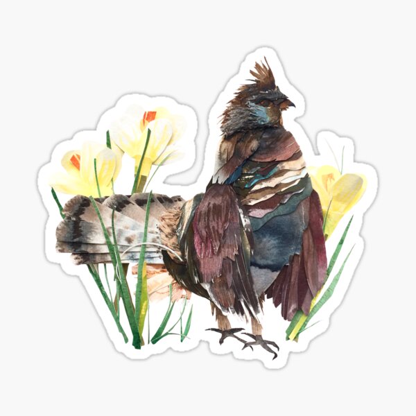 Ruffed Grouse Sticker