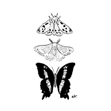 Artwork thumbnail, Butterfly & Moth _black and white palette by ebozzastudio