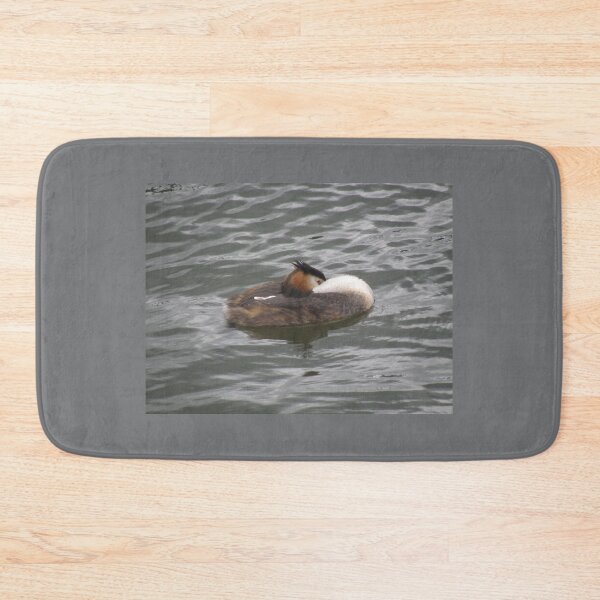 Item preview, Great Crested Grebe Preening Photograph designed and sold by naturegallery.