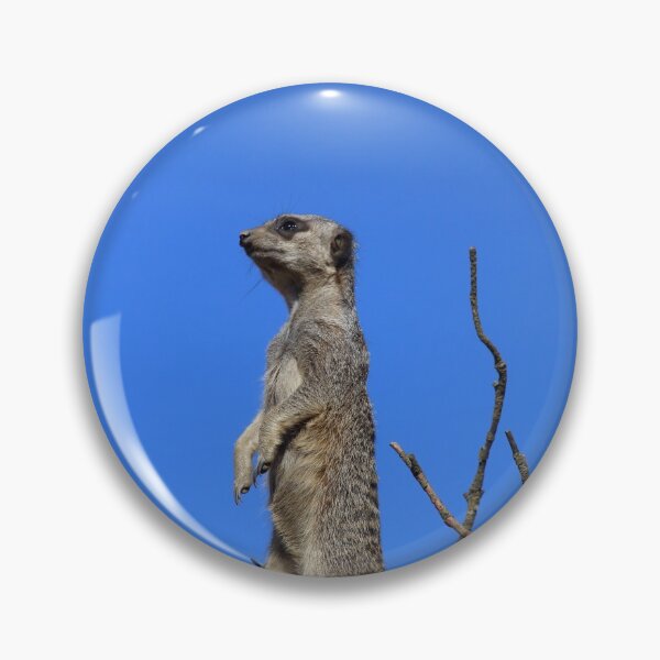 Item preview, Meerkat on Guard. designed and sold by prestongeorge.