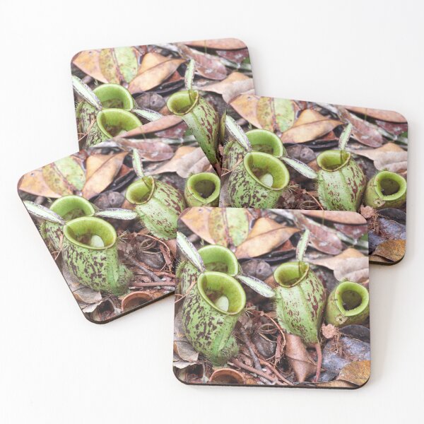 Item preview, "deadly beauties designed and sold by Andreas Koerner.