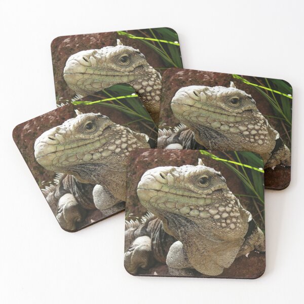 Item preview, Cuban rock iguana designed and sold by rootedrender.