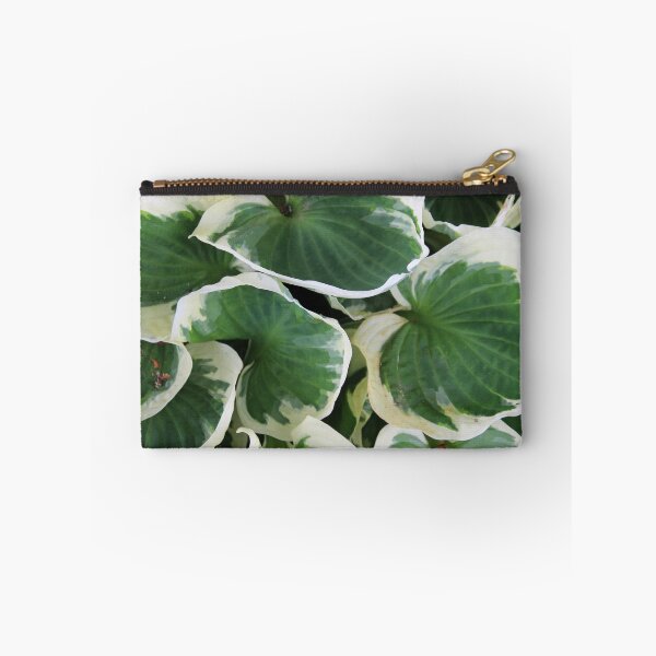Item preview, Hosta designed and sold by Susie Kramer.