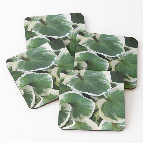 Item preview, Hosta designed and sold by Susie Kramer.