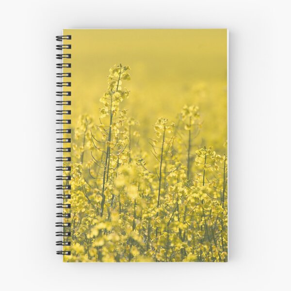 Item preview, Rapeseed designed and sold by Göran Andersson.