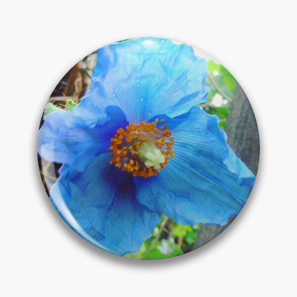 Item preview, annas-poppy. by smiley100.[c.a.2020] designed and sold by smiley100.
