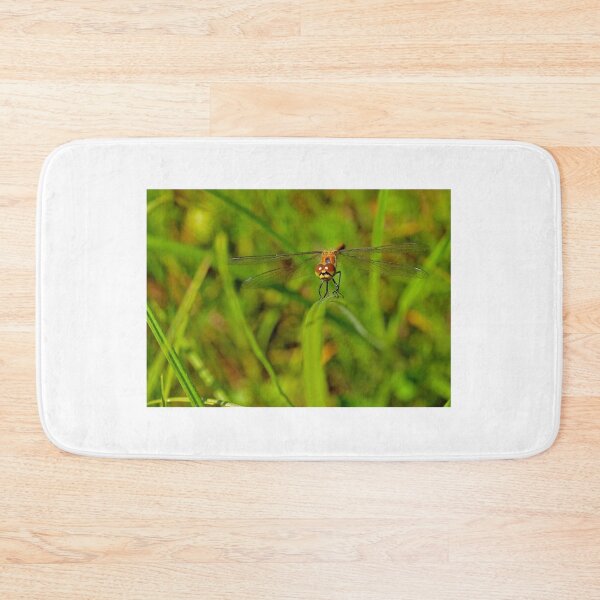 Item preview, Grumpy Dragonfly designed and sold by mamba.