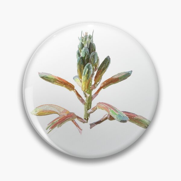 Item preview, Haworthiopsis flowers designed and sold by joburgfreddy.