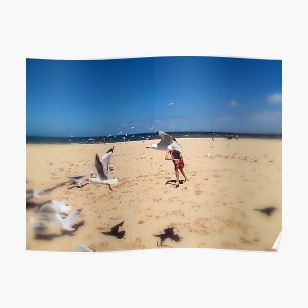 Chasing Gulls Poster