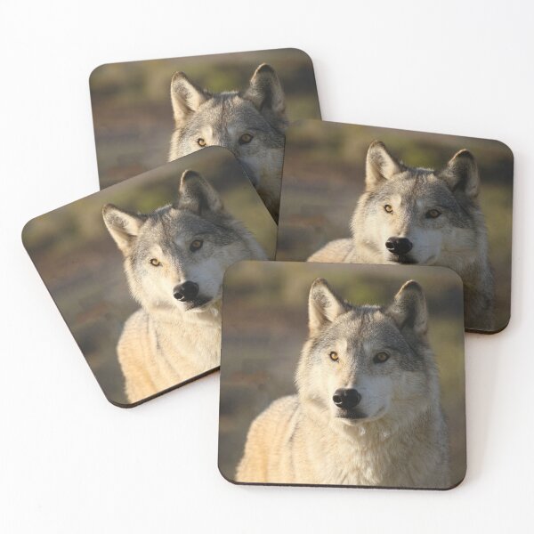 Item preview, Vigilance designed and sold by Lucinda Walter.