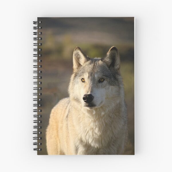Item preview, Vigilance designed and sold by Lucinda Walter.