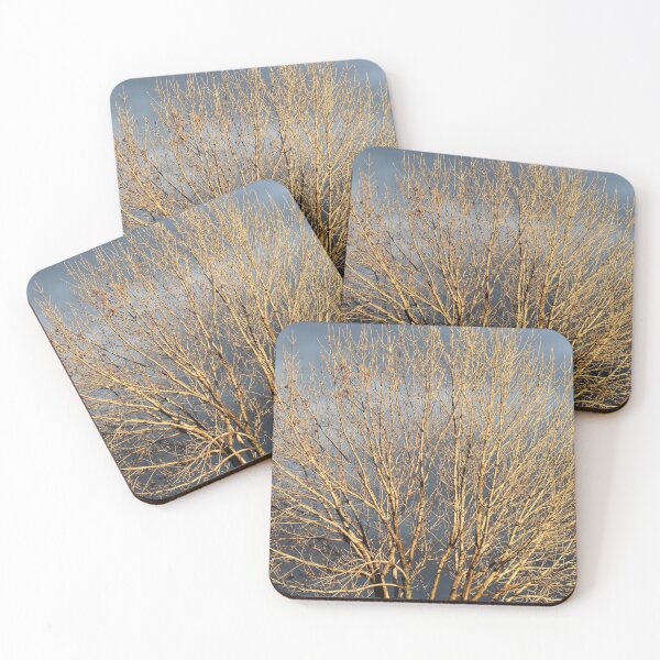 Item preview, Winter Tree in the Sun designed and sold by Susie Kramer.