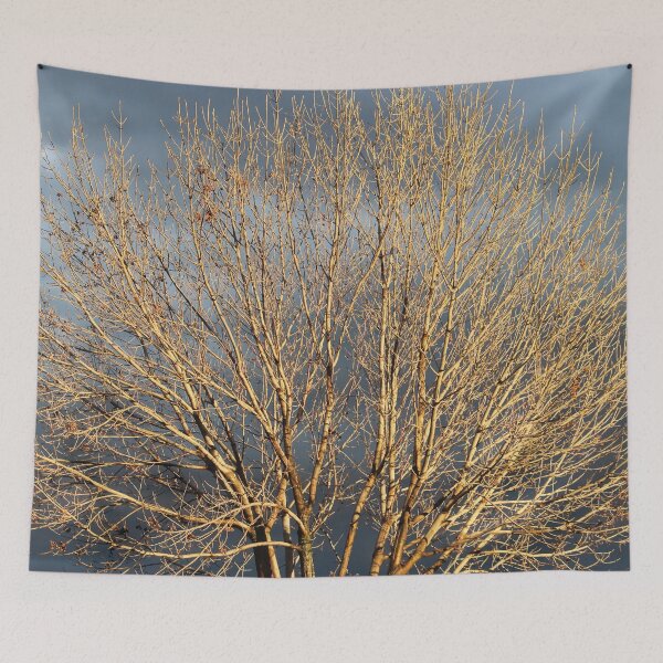 Item preview, Winter Tree in the Sun designed and sold by Susie Kramer.