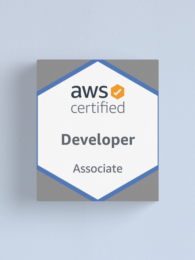 Valid AWS-Certified-Developer-Associate Exam Pattern