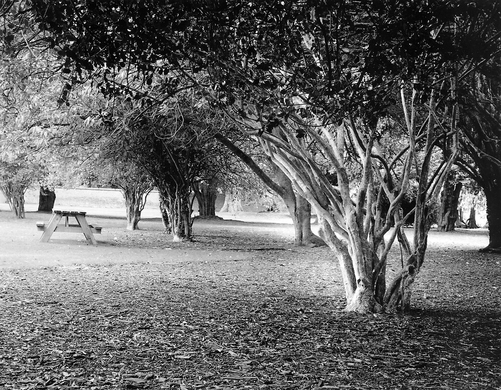 "Picnic Bench in the Visitor Centre, Phoenix Park in Dublin" by Dave