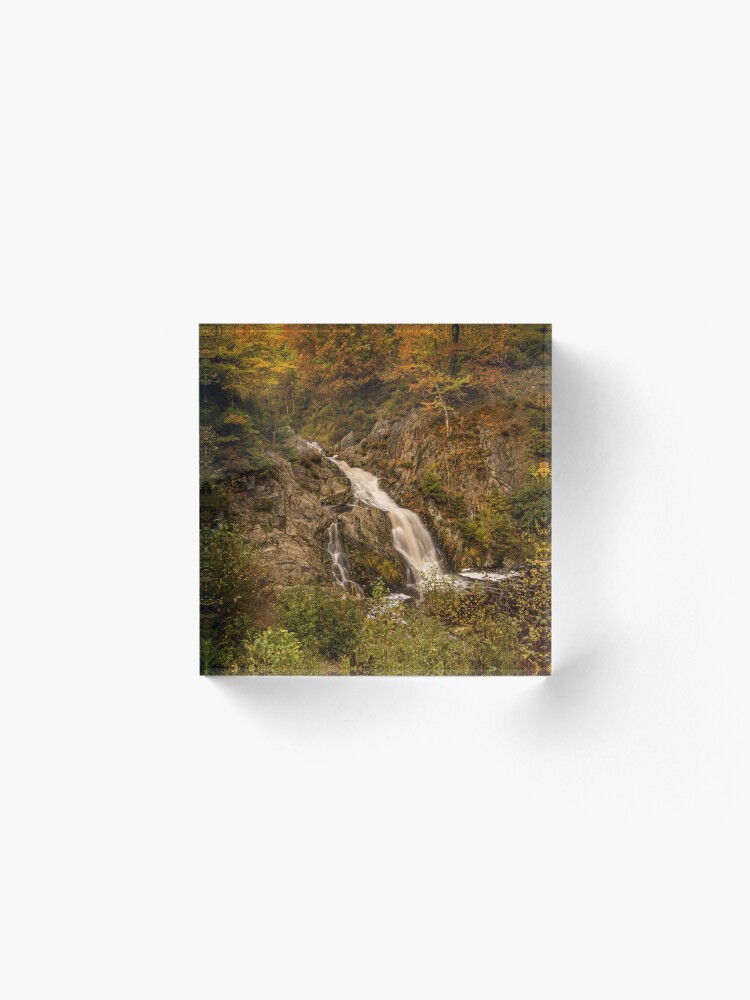 Alternate view of Bayehon Waterfall in the Ardennes forests, Belgium Acrylic Block