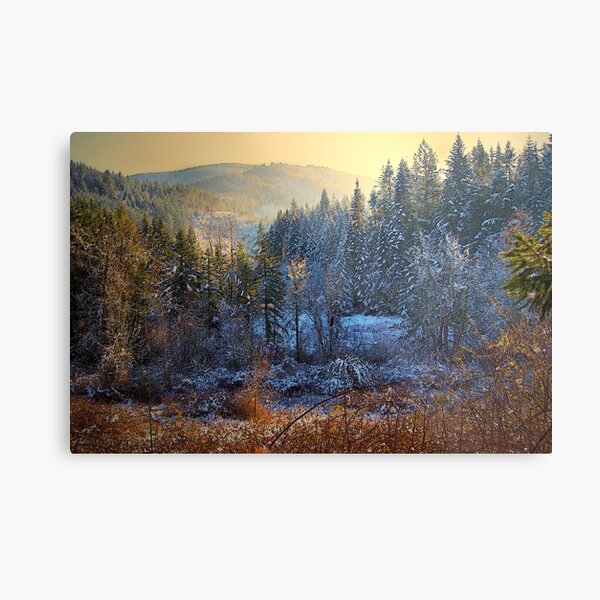 Pictures Of Oregon Wall Art Redbubble