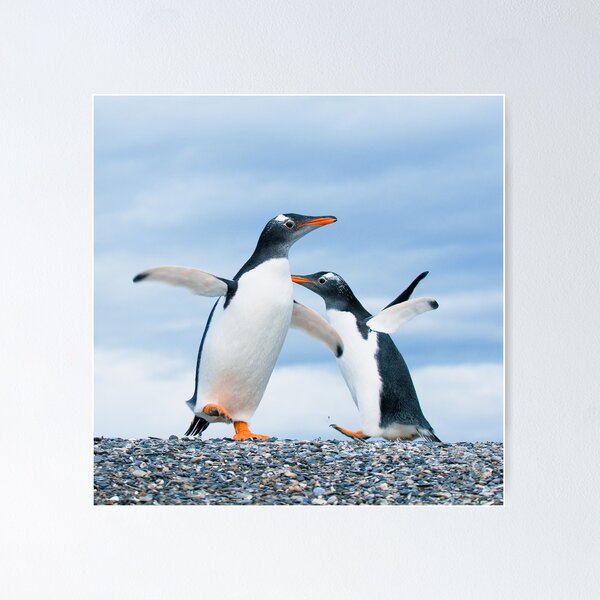 Item preview, gentoo penguins designed and sold by javarman.