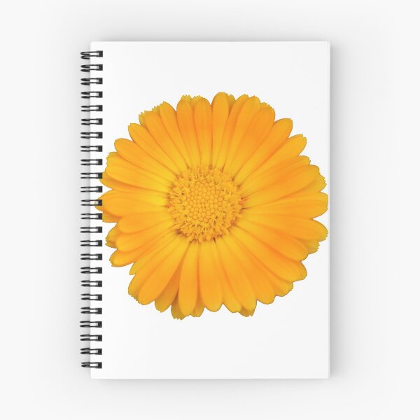 Item preview, Orange Flower designed and sold by Crystaliii.
