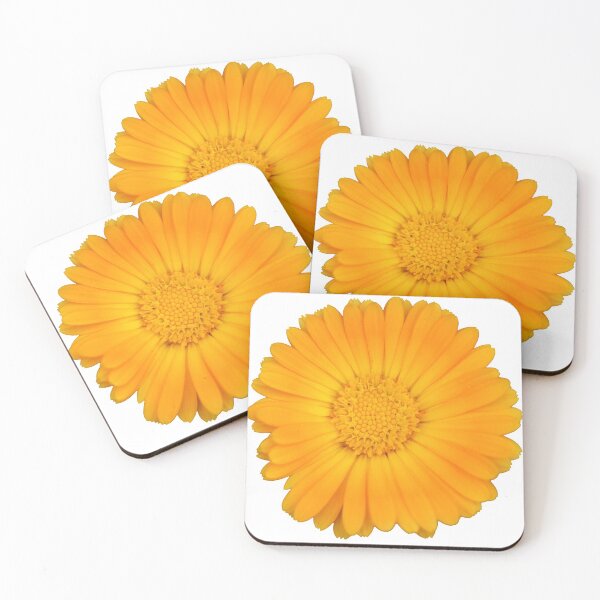 Item preview, Orange Flower designed and sold by Crystaliii.