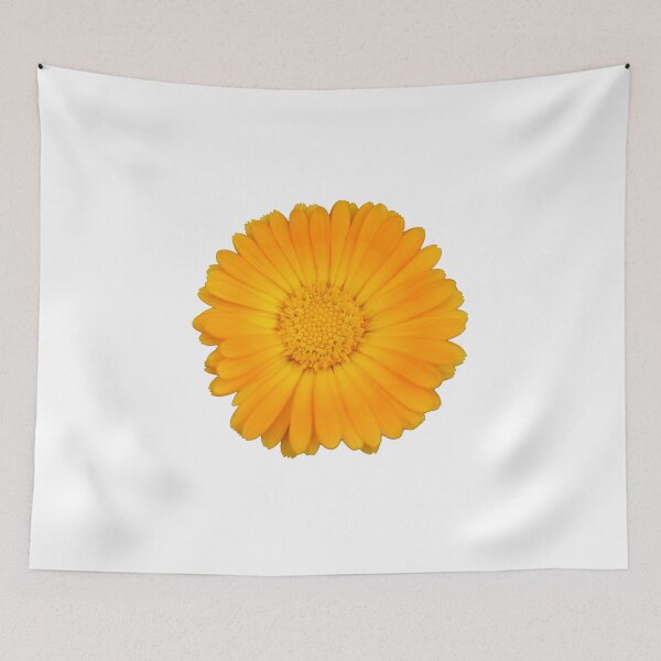 Item preview, Orange Flower designed and sold by Crystaliii.