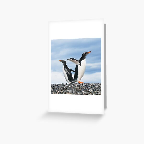Item preview, gentoo penguins designed and sold by javarman.