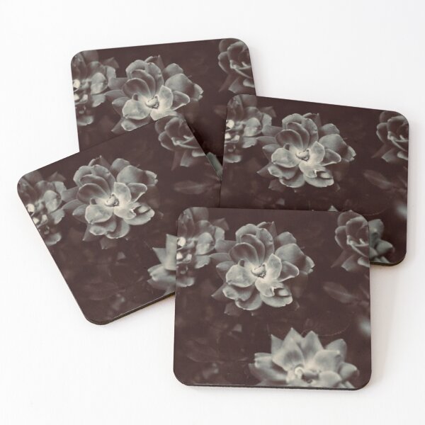 Item preview, Moody Garden  designed and sold by oliviakieffer.