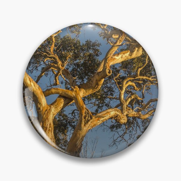 Item preview, Gum Tree at Sunset designed and sold by Werner Padarin.