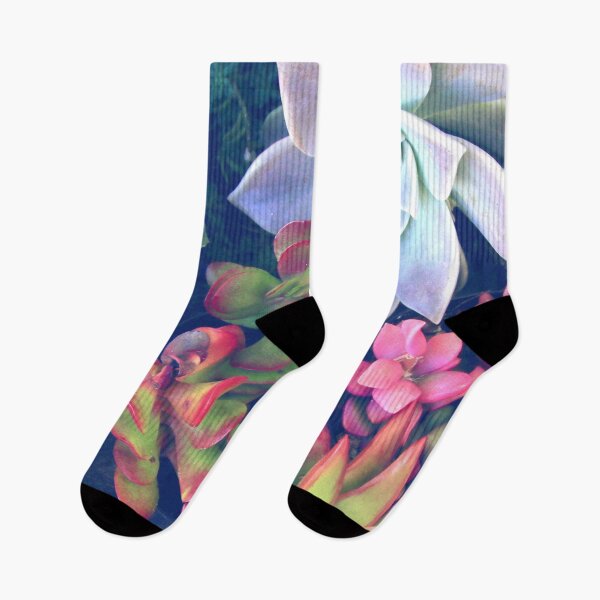 Item preview, Succulents  designed and sold by misimichu.