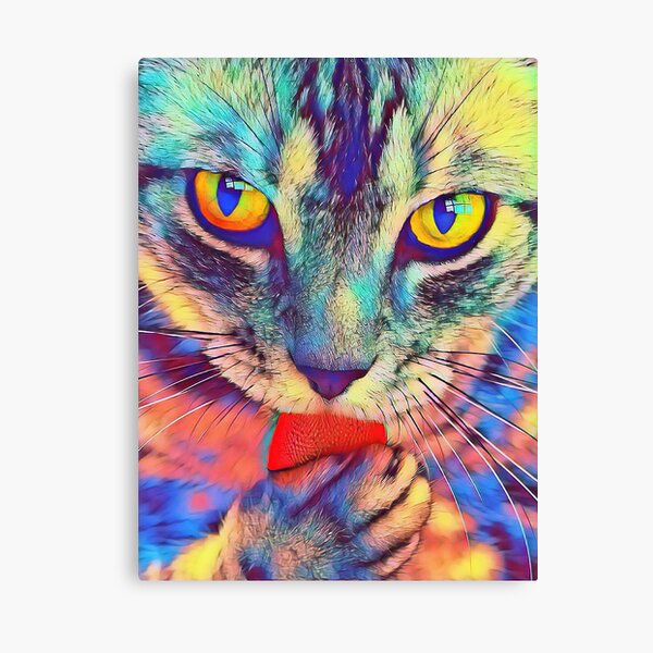 Impression Sur Toile Sphynx Cat Peinture Abstraite Art Design Par Gemmaragon44 Redbubble