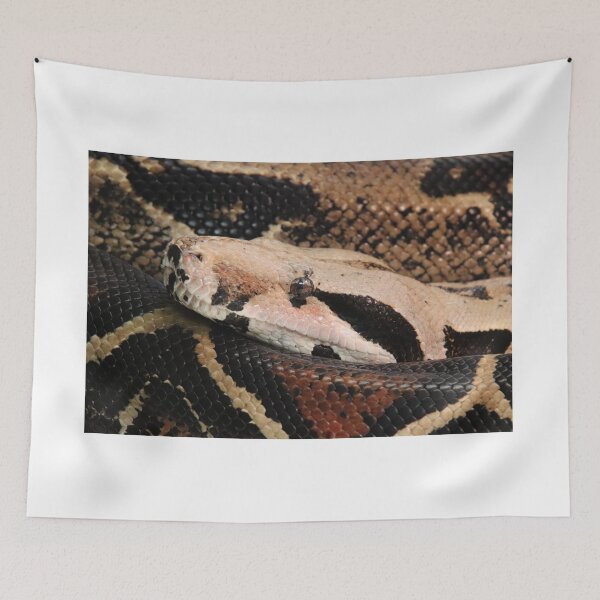 Item preview, Boa constrictor designed and sold by rootedrender.