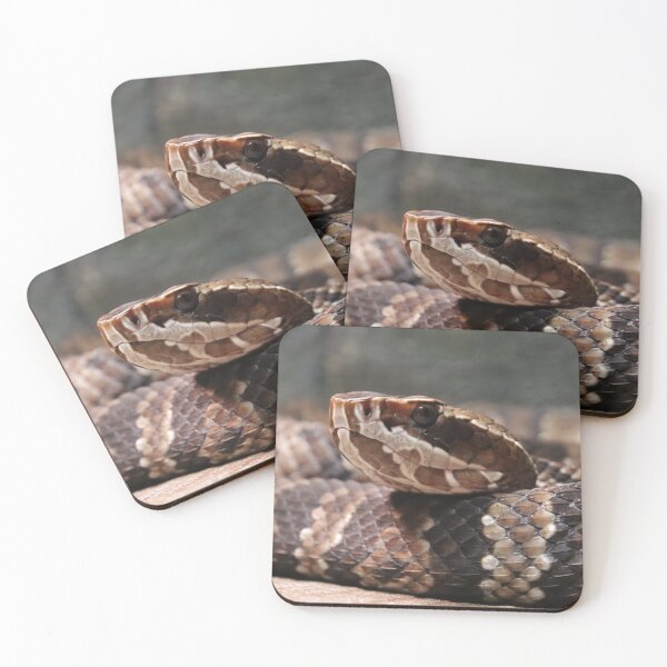Item preview, Cottonmouth designed and sold by rootedrender.