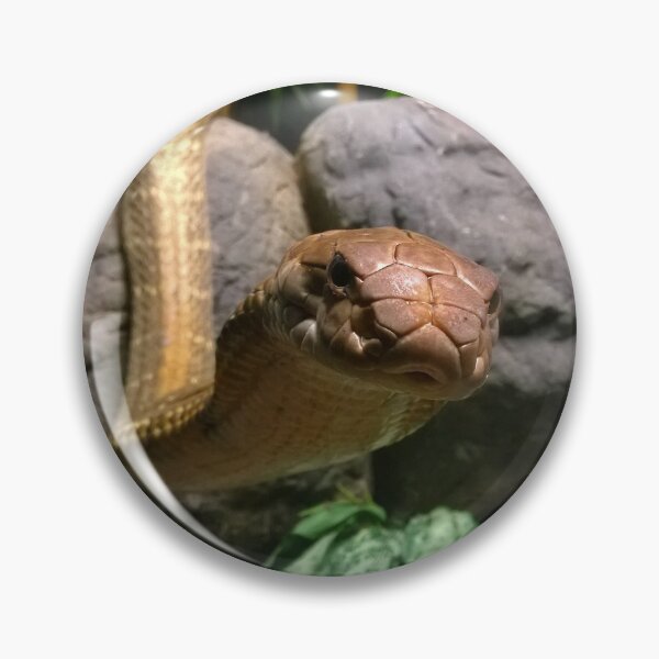 Item preview, King cobra designed and sold by rootedrender.
