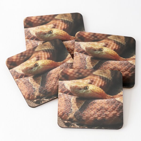 Item preview, Copperhead designed and sold by rootedrender.