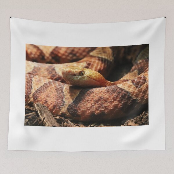 Item preview, Copperhead designed and sold by rootedrender.