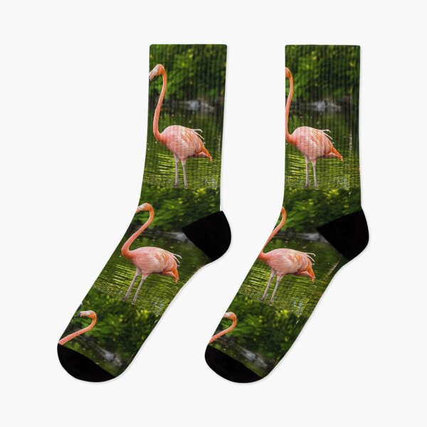 Item preview, Flamingo Love designed and sold by Robert Alsop.